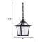 Homeroots 11.75 x 8 x 8 in. Salem 1-Light Matte Black Hanging Light 398031 - alternate 5